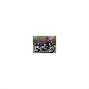 �o�C�N�p�[�c �O���V�b�N�f�U�C�� ���[�h�R���b�g2 D.SLV���^/�N���A RCB60B-DSVM 4548916256273CB1100EX 14-