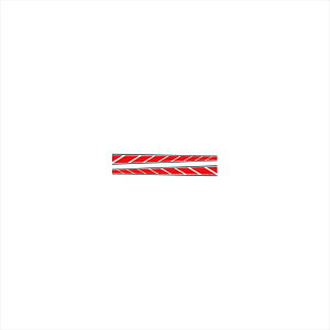 oCNp[c ANZT[GfB[Gt ėpOtBbNXg{X[GKT-D-RD-S 4580394142532RD(bh)