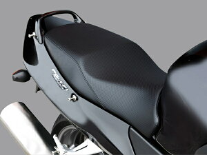 y5OŔzoCNpi ODAYTONA fCgi RIPMOV[gE^(DbV) CBR1100XX74259 4909449388563