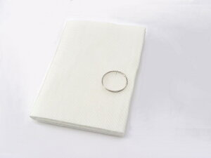 y5OŔz oCNpi }t[DAYTONA fCgi OXE[MTCY 250X70096251 4909449510056i