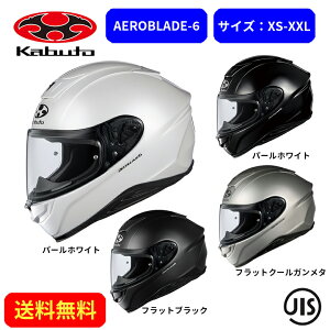 oCNwbgOGK KABUTO(I[W[P[Jug)AEROBLADE-6 2099001X c[O ʋΒʊw   킢