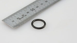 y5OŔzoCNp[c eiXKIJIMA(LW}) ICtB^[ OO105-70314934154117696