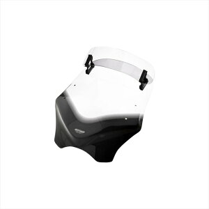 �o�C�N�p�[�c �O���G���A�[���G�[ V-FLOW ���@���I�c�[�����O4025066140336 4548664954827�N���A ���j�o�[�T��