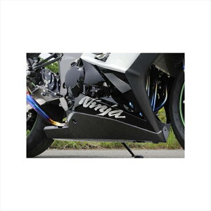 oCNp[c OmW}GWjAO A_[JE J[{DNCW634UC-CFA 4548664726141Ninja1000 11-19