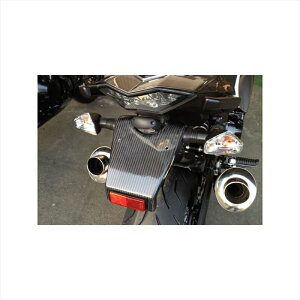 oCNp[c OmW}GWjAO tF_[XLbg QNCW644FL-BK 4548916061228Ninja1000 14-19