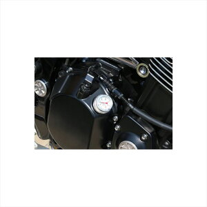 y5OŔz oCNp[c dns[GV[ GWT[Q[W M20 ubN 79-8034 4589641359402Z900RS 18