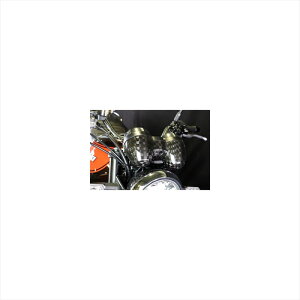 oCNp[c dnG[ebN [^[pAE^[Jo[ DCK K100585-CK 4524446110674Z900RS 18