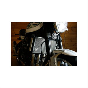 oCNp[c pngbNX^[ WG^[RAK[h ubNbL VHG-031-BM 4560417407954Z900RS/CAFE -20