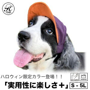 { Xq X KOBEDOG H C hbO Lbv  Xm[  @pi EFA Oh~ ăoeh~  Xq ybg 蕨 p 쌢 hV̓