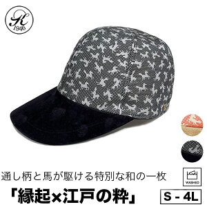 { Xq X _˓ VN U[ Lbv ]ˏ a ؊v {v XG[h UVPA O TYPE20 傫TCY TCY t H ~   IV Y fB[X 