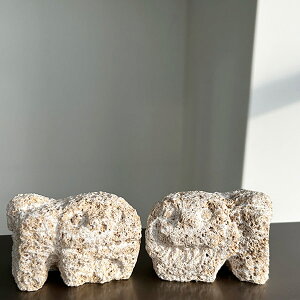 N[|L!!Ύq ӂ肩V[T[ 蒤 V[T[ yA Zbg  ΊD Ago[`  Β q q   _ Rn ƕ ƍi C