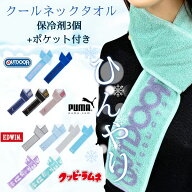 クーポン有!!保冷剤付き クールネックタオル 首に巻く クールタオル 冷たい ひんやり 冷感 冷却 保冷剤用…