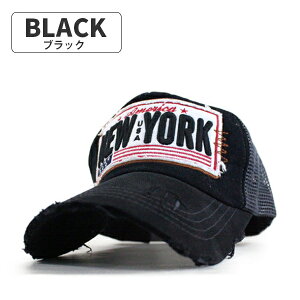 bVLbv Y fB[X Xq Lbv NEW YORK SbVCAP t V gh   AEghA EH[LO nCLO ̓ 蕨 v[g