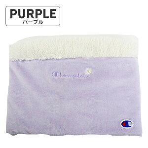 yLbYz Champion `sI xAlbNEH[}[ q WjA }t[ h ӂӂ H ~ q jq w w ʊw ] U