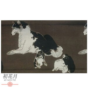  ߑ 䂩  ːD    AC{[  e  Aj} a o[Vu  I j[N Vi ב { JWA    čՂ  No.10-5611