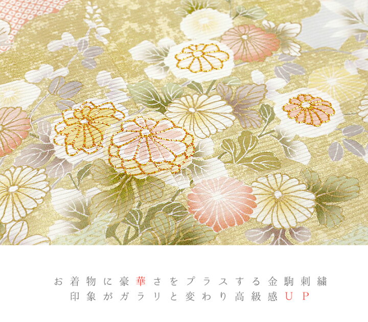 楽天市場】夏物 訪問着 着物 正絹 単衣 金彩加工 型友禅 駒絽 金駒刺繍 