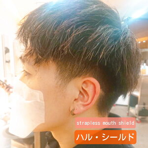 ハル・シールドII (20枚入)インフルエンザ 予防 ※送料¥250(4セットまで) ko-36045-kyp0063