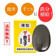 【送料無料】南部鉄器 ザ 鉄玉子 薄型 正規品 9/1日本テレビ「ヒルナンデス！」で紹介