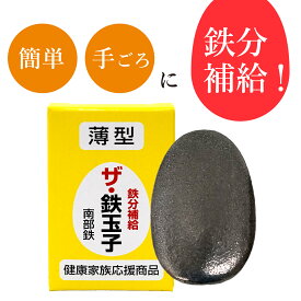鉄分補給 南部鉄器 薄型 ザ 鉄玉子 9/1 日本テレビ「ヒルナンデス！」で紹介されました　送料￥250(4個まで)（鉄分補給 簡単 黒豆の色出し 鉄タマゴ 鉄たまご 鋳鉄 鉄卵） ko-06978-usugata-tetutamago