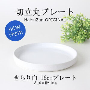 HatsuZany16cm ؗۃv[gE蔒z16×H2cm