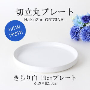 HatsuZany19cm ؗۃv[gE蔒z19×H2cm