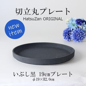 HatsuZany19cm ؗۃv[gEԂz19×H2cm