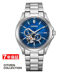 y 2000~N[| zV`Y V`YRNV JjJ I[vn[g CITIZEN COLLECTION Yrv NP1010-78L