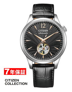 y 2000~N[| zV`YRNV JjJ I[vn[g CITIZEN COLLECTION Yrv NH9131-14E