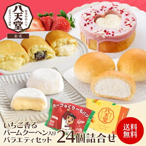 C234s V to[N[woGeBZbg24ly  z yV Ԍ o[N[w N[p Rbyp 啟  lC lߍ킹 p Ⓚ