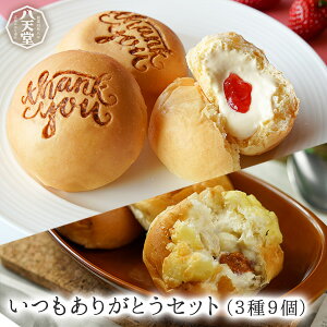 535父の日ギフト【八天堂公式ショップ】お父さんいつもありがとうセット