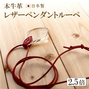 yy_g[y {2.5{z{vEnhCh lbNX g勾 fB[X Y jp ߁IVዾ ̓ v[g pI a ސEj ɂI bsOIA