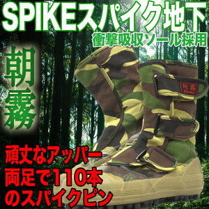 XpCNV[Y[  I-881 I-88] n ʕ h[n XpCN][XpCNt][XpCN][XpCN ]