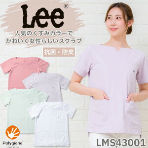 y5OFF N[|zLee XNu   ×p 傫TCY hN^[ i[X NjbN {}bNX Y fB[X jp LMS43001 ₷ p |W 킢 