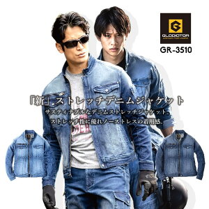 Xgb`fj ƕ [NEFA WPbg OfBG[^[ GR-3510 TXeBiun fj Xgb` u] H~ t Y fB[X Vv  ƕ ƒ R[