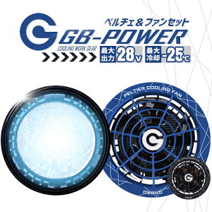�y���������z�󒲕��p �y���`�F �t�@�� ��̌^�i28V��p �y���`�F�t�@���Z�b�g�jGP980 GB-POWER 15�����ۏ� �₽�� ������ �}�C�i�X25�� ��p�v���[�g �󒲃E�F�A �t�@���P�i �t�@���t���E�F�A��