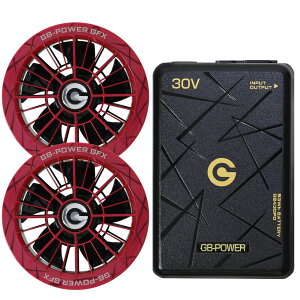 �y�S�i5%OFF�N�[�|����6/10�z�y���������z���M�W���p�� �󒲕��p�i30V��p �t�@�����o�b�e���[�Z�b�g�jGB-POWER GB430PD GFX�y15�P�������O�ۏ؁z �}���[�d �󒲃E�F�A �t�@���t���E�F�A�Ή� EF�E�F