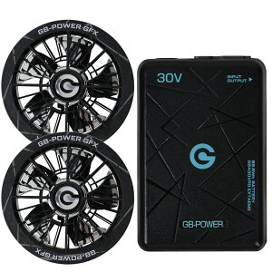�y���������z���M�W���p�� �󒲕��p�i30V��p �t�@�����o�b�e���[�Z�b�g GB-POWER GB430XPD GFXS ����J���[�t�@�����f�� �y15�P�������O�ۏ؁z �}���[�d �󒲃E�F�A �t�@���t���E�F�A�Ή� EF�E�F