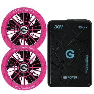 �y���������z���M�W���p�� �󒲕��p�i30V��p �t�@�����o�b�e���[�Z�b�g�jGB-POWER GB430XPD GFX�y15�P�������O�ۏ؁z �}���[�d �󒲃E�F�A �t�@���t���E�F�A�Ή� EF�E�F�A ���啗�� �M���Ǒ΍� �t