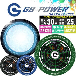 �y���������z���M�W���p�� ��p�y���`�F�t�@���Z�b�g ��̌^ 2026�N���f���q30V�Ή� �y���`�F�t�@���Z�b�g�r15�����ۏ؂͒��M�W���p�������I GP980X GB-POWER �����x����[25�� ���a7�Z���`�̗�