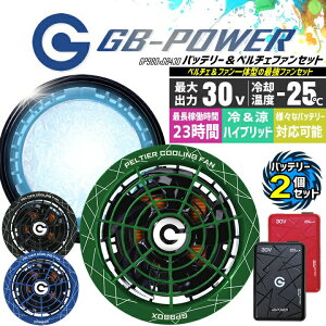 �y�S�i5%OFF�N�[�|����6/10�z�y���������z���M�W���p�� ��p�y���`�F�t�@�� ��̌^ �i30V��p �y���`�F�t�@��1�Z�b�g���o�b�e���[2�Z�b�g�jGP980 GB430 GB-POWER 15�����ۏؕt�� �n�C�o�b�N�E�G�A��