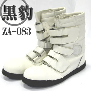 y5%OFFN[|zz11/25-26zyzSC u[c ֓ SC pSC ^SC yZA-083z ySC u[cz ƗpSC ScSC