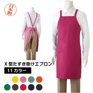 i { Gv | R^Cv |GXe100 t[TCY Iׂ11J[ fB[X Y