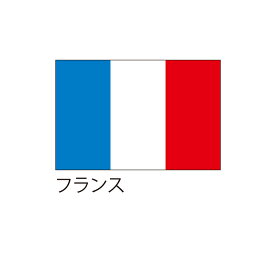 【送料込】 応援・装飾用旗 フランス 90×135cm ポンジ 送料込