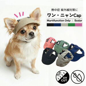 yz^ ybgpXq L  Lbv coL iC UVJbg M \h  z \ J̓ U S M L ubN u[ sN x[W O[ }WbNe