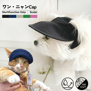 yz^ ybgpXq L  Lbv coL iC UVJbg  z \ J̓ U S M L ubN u[ sN x[W O[ }WbNe[v ߉\ 