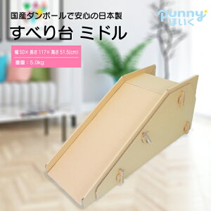 yzׂ _{[ V S { Ԃ qǂp fBAЉ punnyقKi