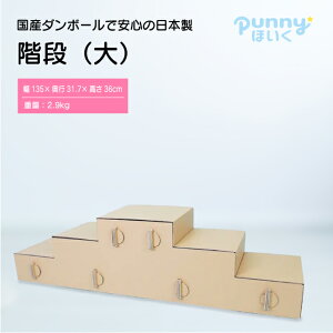 yz_{[ KiijV fBAЉ {@punnyقKi