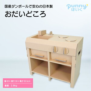 【送料込】ダンボール製 室内遊具 台所 キッチン 子ども メディア紹介多数 日本製 punnyほいく正規品