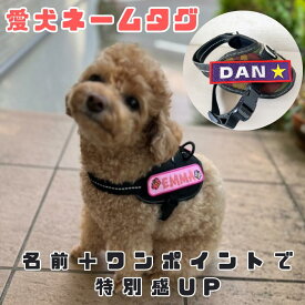 お名前刺しゅう ユリウス ハーネス 名前 ユリウスk9 ネームタグ オーダー ユリウス ハーネス 犬種 タグ 迷子札 オーダー刺しゅう タグ 愛犬 タグ 刺繍 ワッペン 犬 グッズ オリジナル プレゼント ギフト