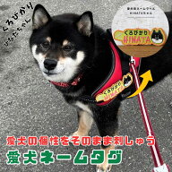 【★5.00／レビュー高評価】ユリウス ハーネス 名前 ユリウスk9 ネームタグ オーダー ユリウス ハーネス …